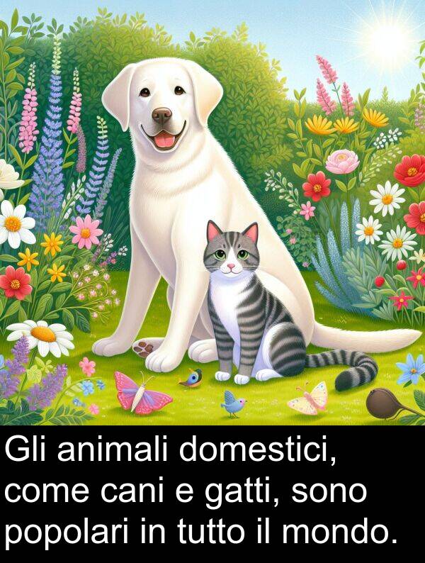 cani: Gli animali domestici, come cani e gatti, sono popolari in tutto il mondo.