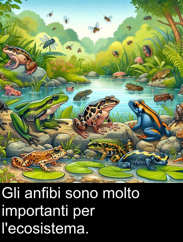 importanti: Gli anfibi sono molto importanti per l'ecosistema.