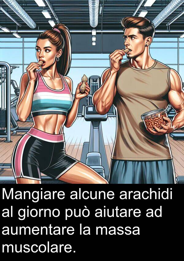 giorno: Mangiare alcune arachidi al giorno può aiutare ad aumentare la massa muscolare.