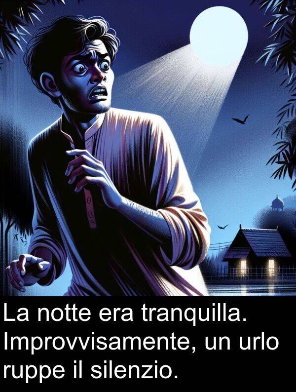 urlo: La notte era tranquilla. Improvvisamente, un urlo ruppe il silenzio.