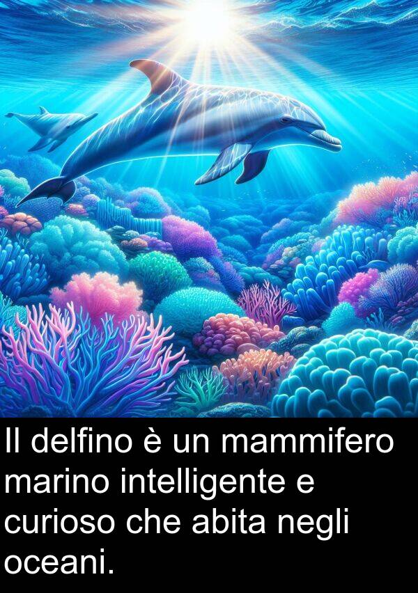 abita: Il delfino è un mammifero marino intelligente e curioso che abita negli oceani.