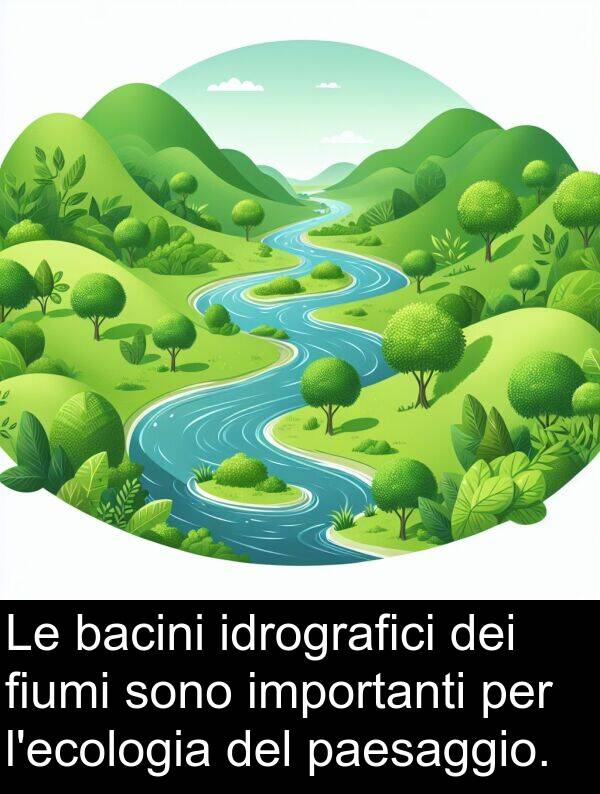 bacini: Le bacini idrografici dei fiumi sono importanti per l'ecologia del paesaggio.