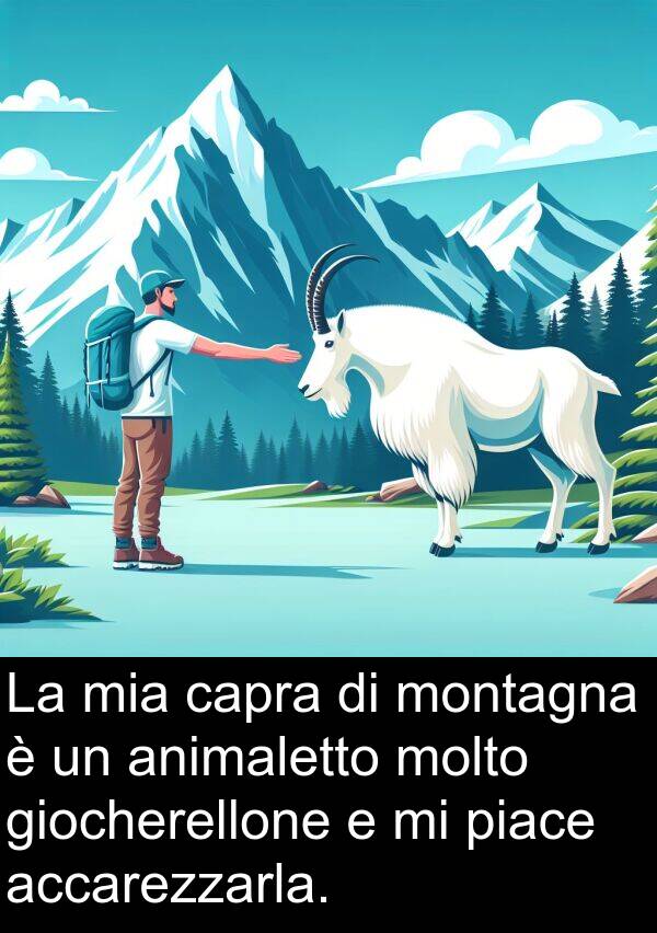 accarezzarla: La mia capra di montagna è un animaletto molto giocherellone e mi piace accarezzarla.