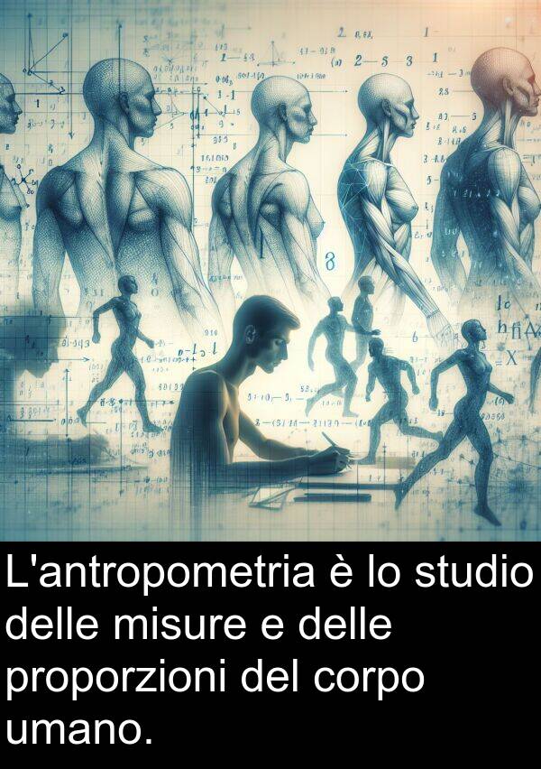 umano: L'antropometria è lo studio delle misure e delle proporzioni del corpo umano.