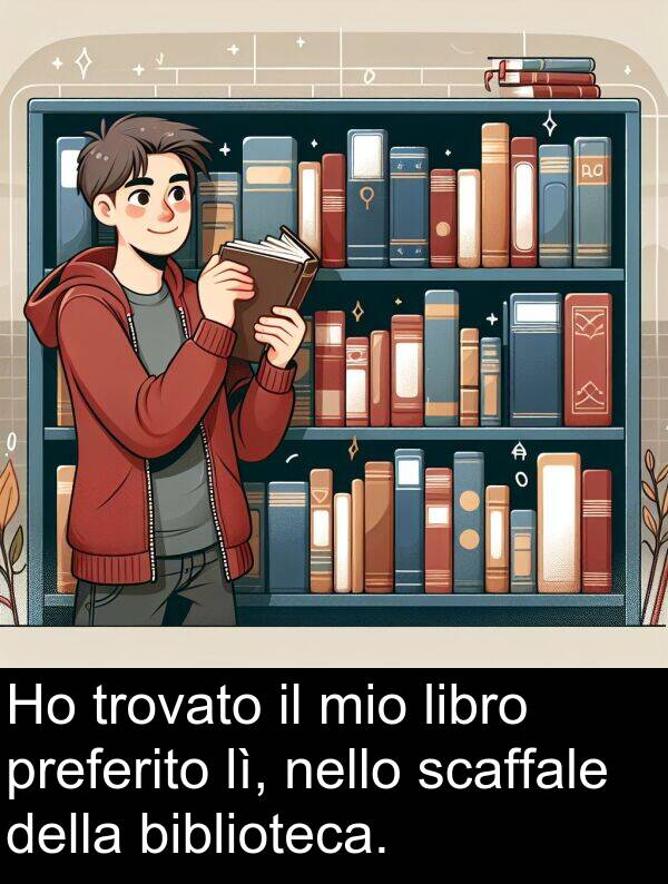 scaffale: Ho trovato il mio libro preferito lì, nello scaffale della biblioteca.