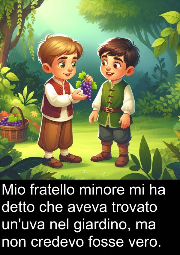 fratello: Mio fratello minore mi ha detto che aveva trovato un'uva nel giardino, ma non credevo fosse vero.