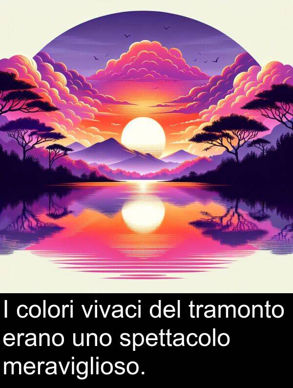 colori: I colori vivaci del tramonto erano uno spettacolo meraviglioso.