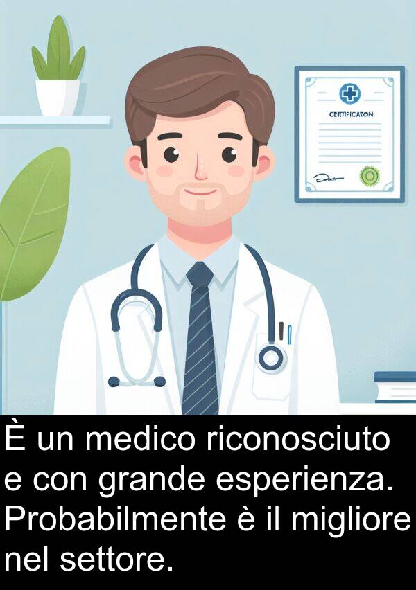 esperienza: È un medico riconosciuto e con grande esperienza. Probabilmente è il migliore nel settore.