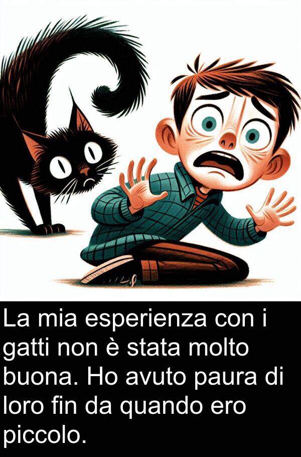 avuto: La mia esperienza con i gatti non è stata molto buona. Ho avuto paura di loro fin da quando ero piccolo.