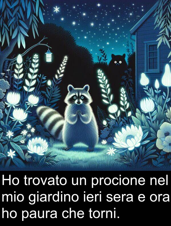 paura: Ho trovato un procione nel mio giardino ieri sera e ora ho paura che torni.