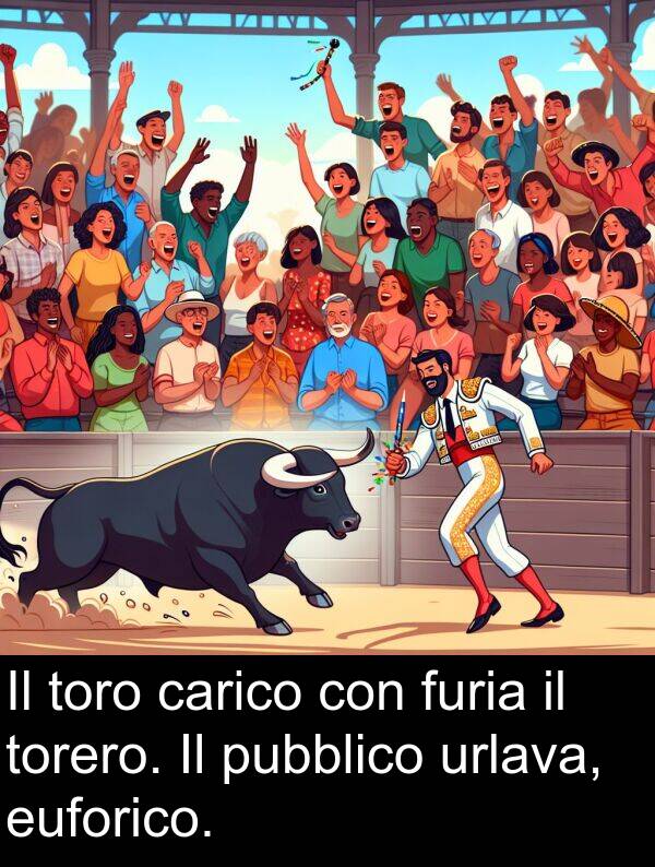 torero: Il toro carico con furia il torero. Il pubblico urlava, euforico.