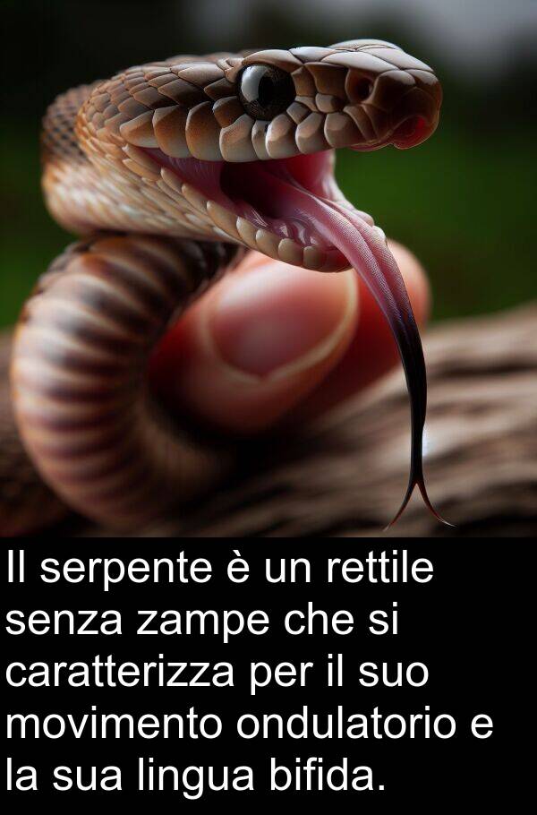 zampe: Il serpente è un rettile senza zampe che si caratterizza per il suo movimento ondulatorio e la sua lingua bifida.