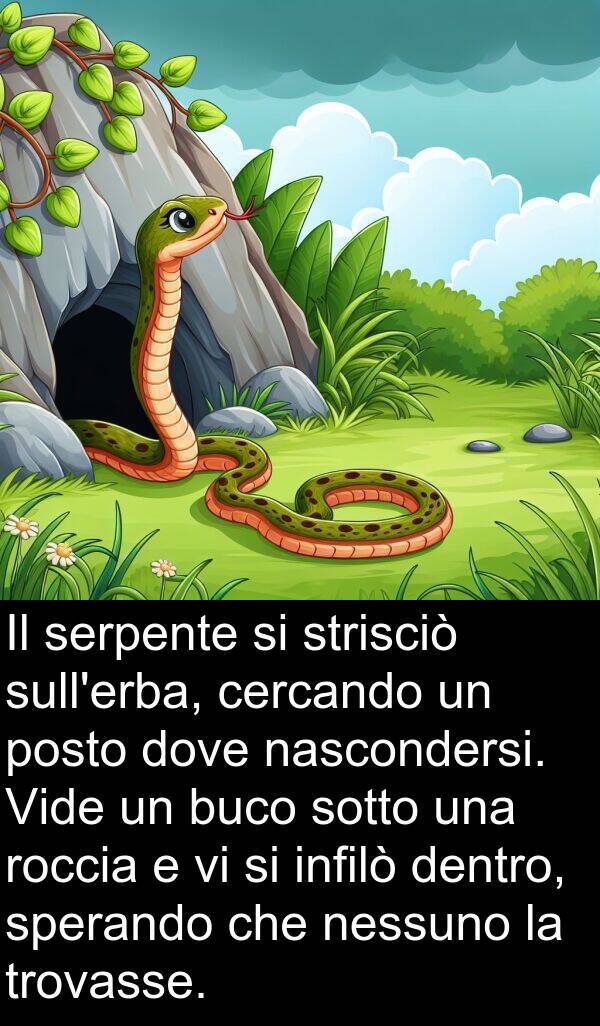 nessuno: Il serpente si strisciò sull'erba, cercando un posto dove nascondersi. Vide un buco sotto una roccia e vi si infilò dentro, sperando che nessuno la trovasse.