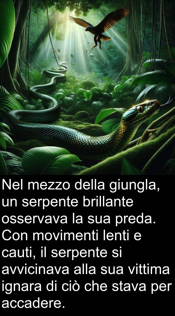 cauti: Nel mezzo della giungla, un serpente brillante osservava la sua preda. Con movimenti lenti e cauti, il serpente si avvicinava alla sua vittima ignara di ciò che stava per accadere.