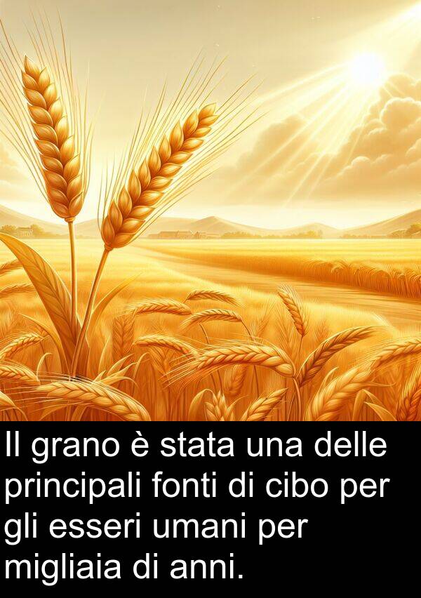 cibo: Il grano è stata una delle principali fonti di cibo per gli esseri umani per migliaia di anni.