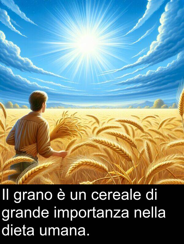 grande: Il grano è un cereale di grande importanza nella dieta umana.