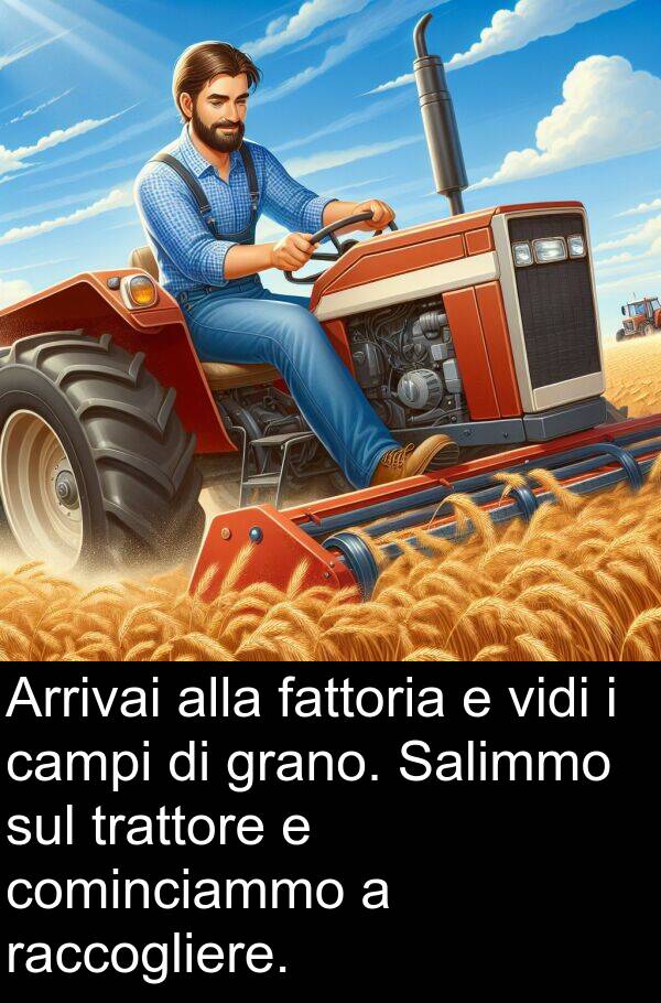 cominciammo: Arrivai alla fattoria e vidi i campi di grano. Salimmo sul trattore e cominciammo a raccogliere.
