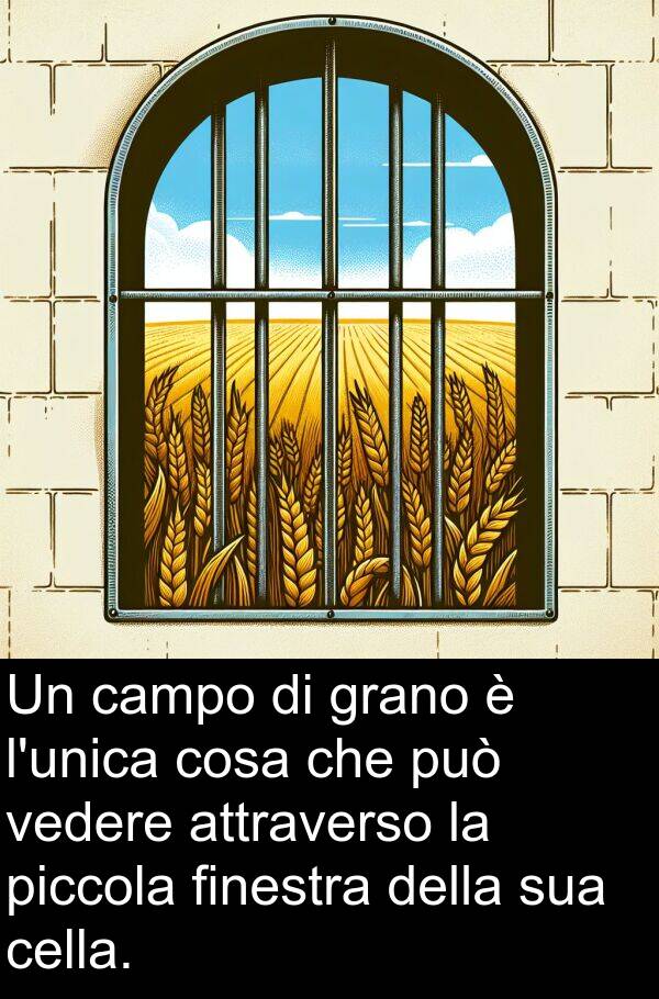 finestra: Un campo di grano è l'unica cosa che può vedere attraverso la piccola finestra della sua cella.