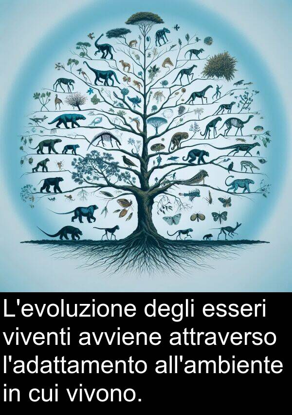 cui: L'evoluzione degli esseri viventi avviene attraverso l'adattamento all'ambiente in cui vivono.