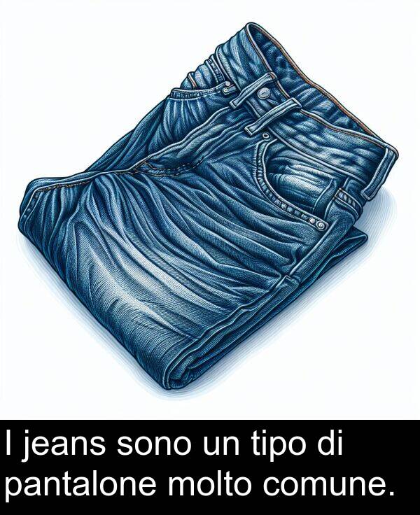 jeans: I jeans sono un tipo di pantalone molto comune.