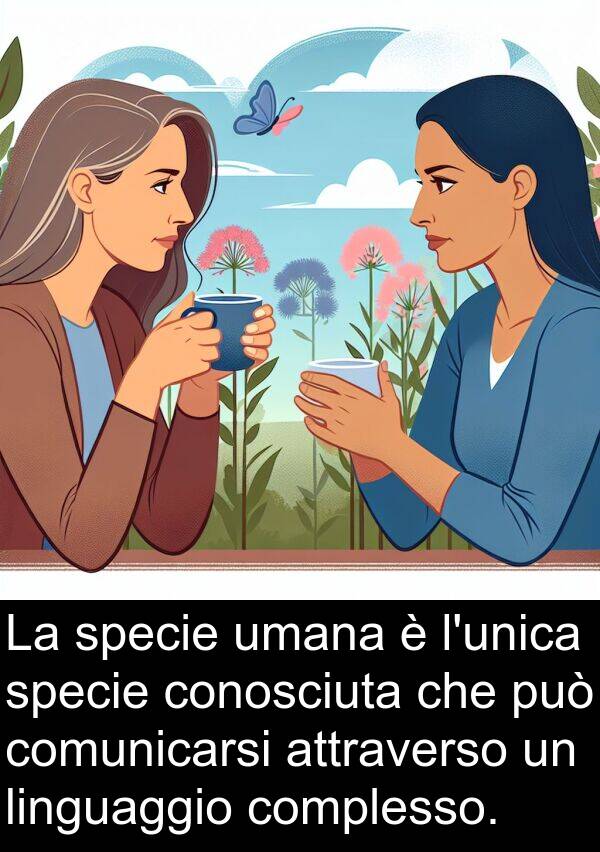 comunicarsi: La specie umana è l'unica specie conosciuta che può comunicarsi attraverso un linguaggio complesso.