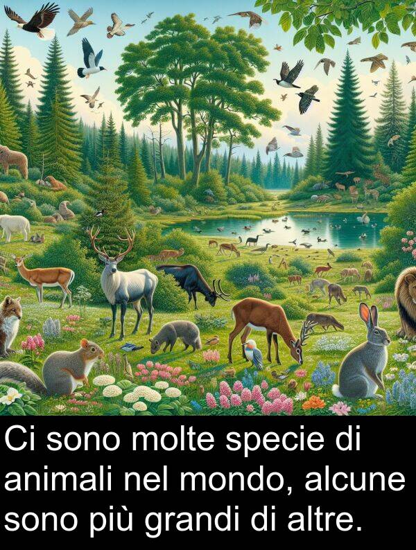 grandi: Ci sono molte specie di animali nel mondo, alcune sono più grandi di altre.