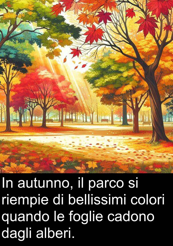 dagli: In autunno, il parco si riempie di bellissimi colori quando le foglie cadono dagli alberi.