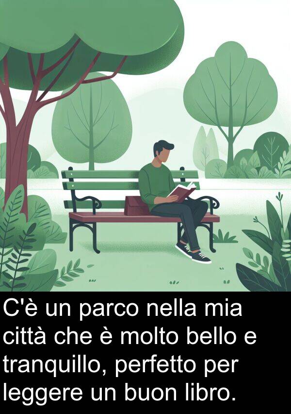buon: C'è un parco nella mia città che è molto bello e tranquillo, perfetto per leggere un buon libro.