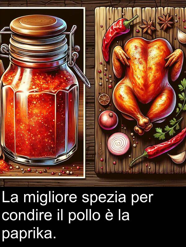 paprika: La migliore spezia per condire il pollo è la paprika.