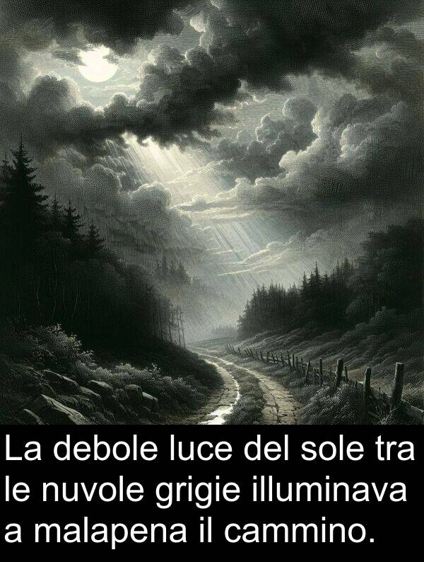 grigie: La debole luce del sole tra le nuvole grigie illuminava a malapena il cammino.