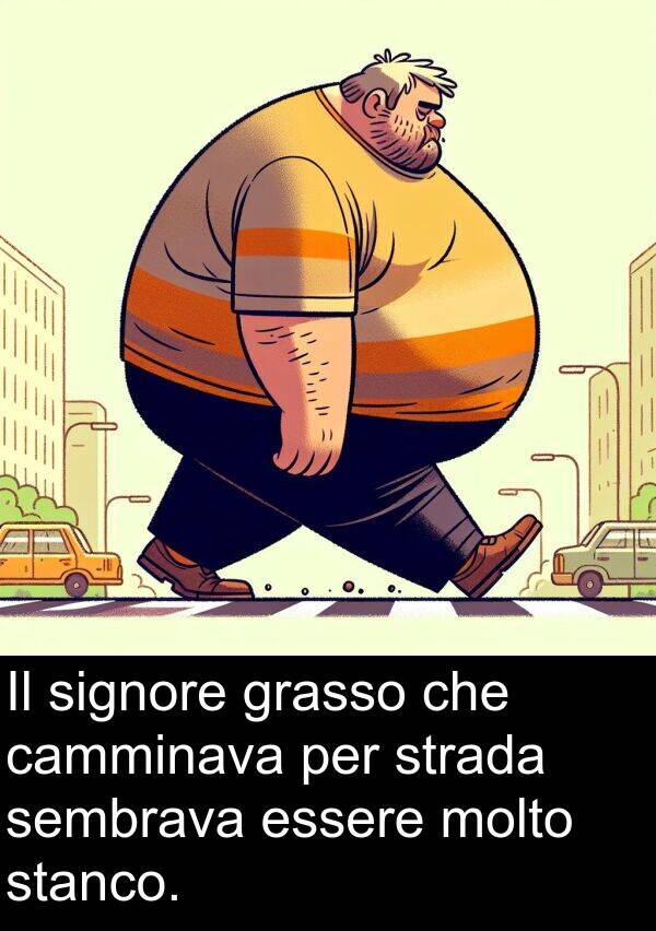 strada: Il signore grasso che camminava per strada sembrava essere molto stanco.
