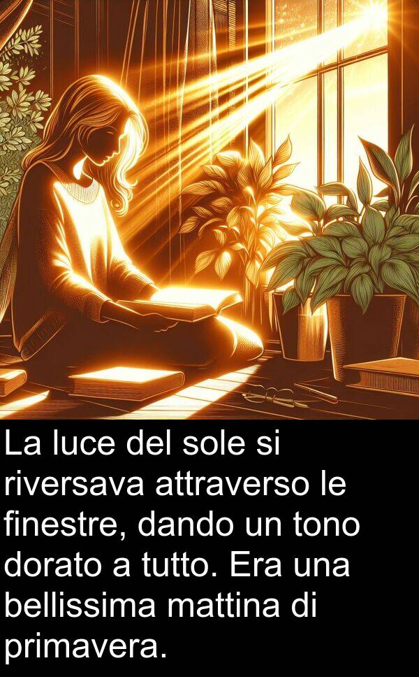 riversava: La luce del sole si riversava attraverso le finestre, dando un tono dorato a tutto. Era una bellissima mattina di primavera.