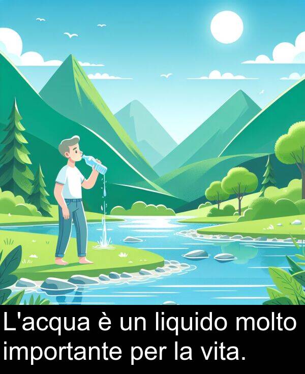 liquido: L'acqua è un liquido molto importante per la vita.