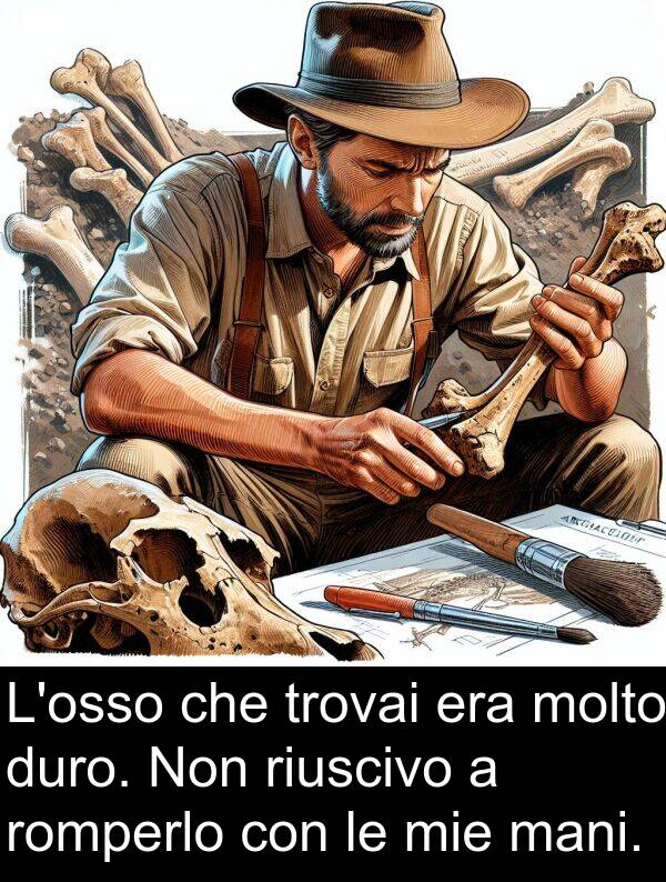 trovai: L'osso che trovai era molto duro. Non riuscivo a romperlo con le mie mani.