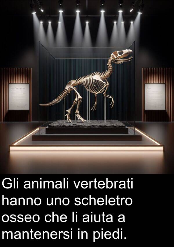 piedi: Gli animali vertebrati hanno uno scheletro osseo che li aiuta a mantenersi in piedi.