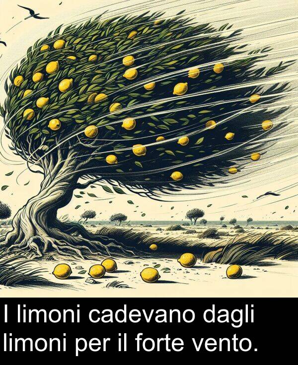 dagli: I limoni cadevano dagli limoni per il forte vento.