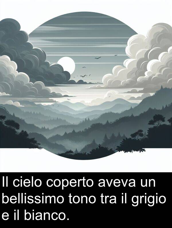 tra: Il cielo coperto aveva un bellissimo tono tra il grigio e il bianco.
