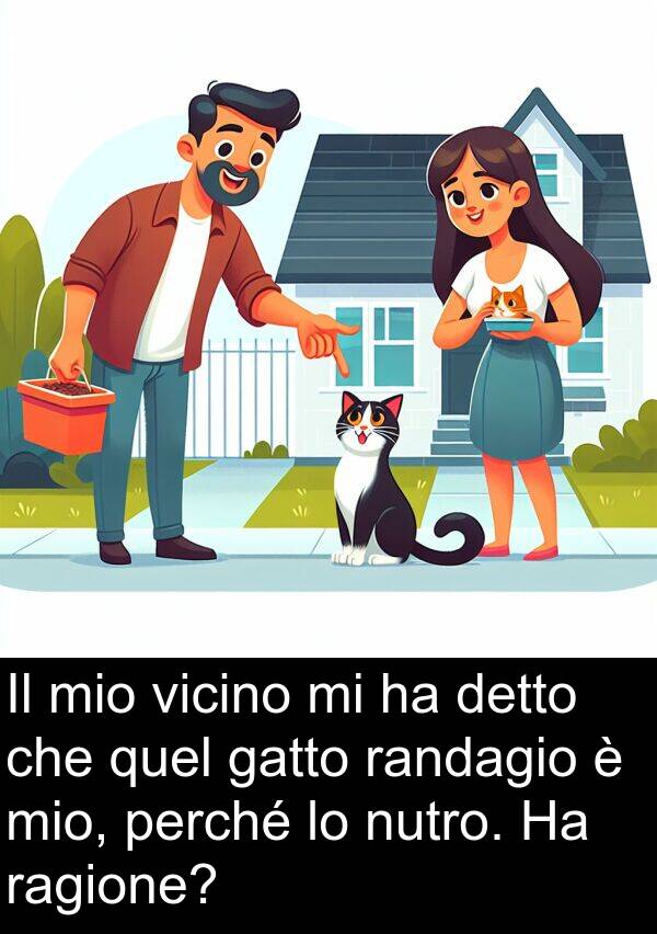 randagio: Il mio vicino mi ha detto che quel gatto randagio è mio, perché lo nutro. Ha ragione?