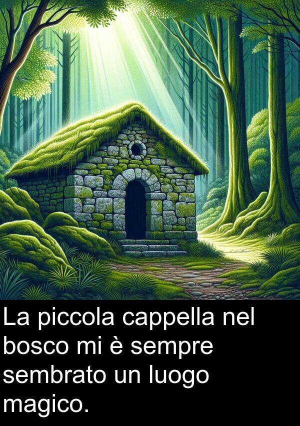 sembrato: La piccola cappella nel bosco mi è sempre sembrato un luogo magico.