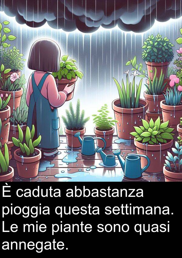 piante: È caduta abbastanza pioggia questa settimana. Le mie piante sono quasi annegate.