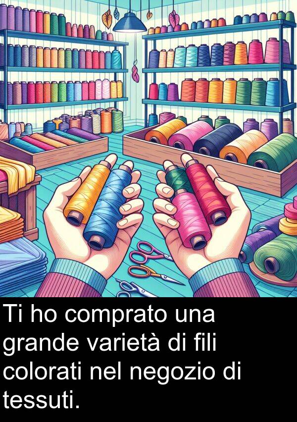 varietà: Ti ho comprato una grande varietà di fili colorati nel negozio di tessuti.