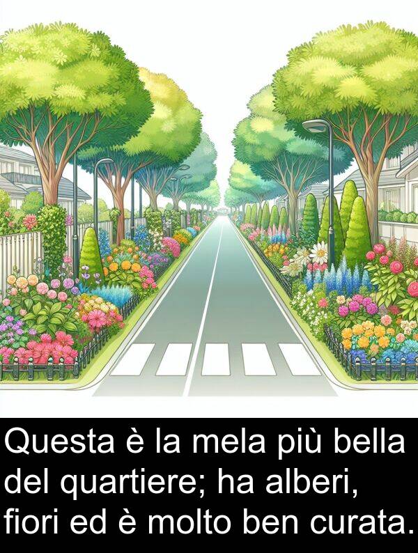 bella: Questa è la mela più bella del quartiere; ha alberi, fiori ed è molto ben curata.