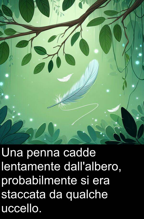 cadde: Una penna cadde lentamente dall'albero, probabilmente si era staccata da qualche uccello.