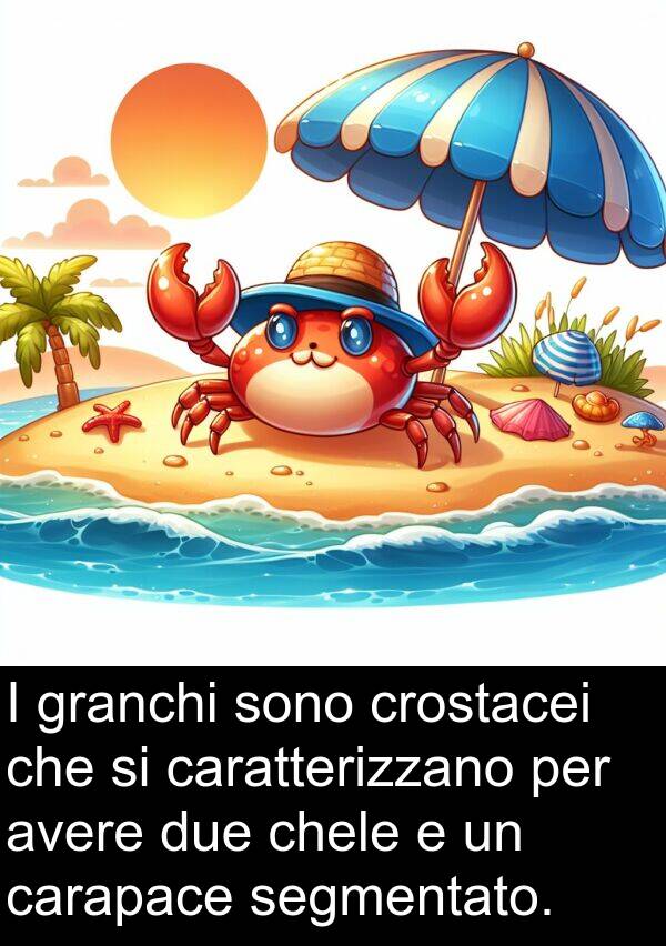 chele: I granchi sono crostacei che si caratterizzano per avere due chele e un carapace segmentato.