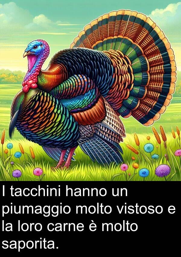 loro: I tacchini hanno un piumaggio molto vistoso e la loro carne è molto saporita.