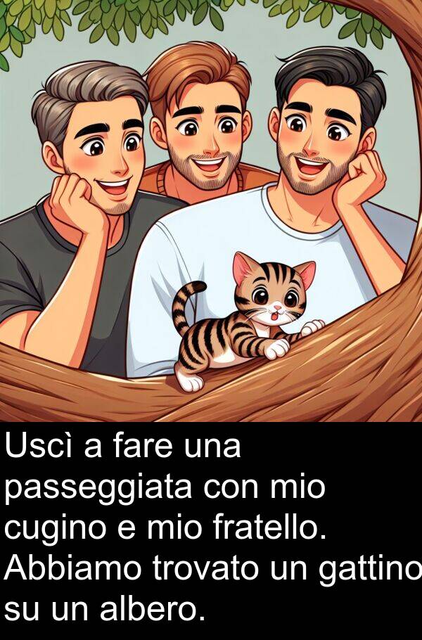 gattino: Uscì a fare una passeggiata con mio cugino e mio fratello. Abbiamo trovato un gattino su un albero.