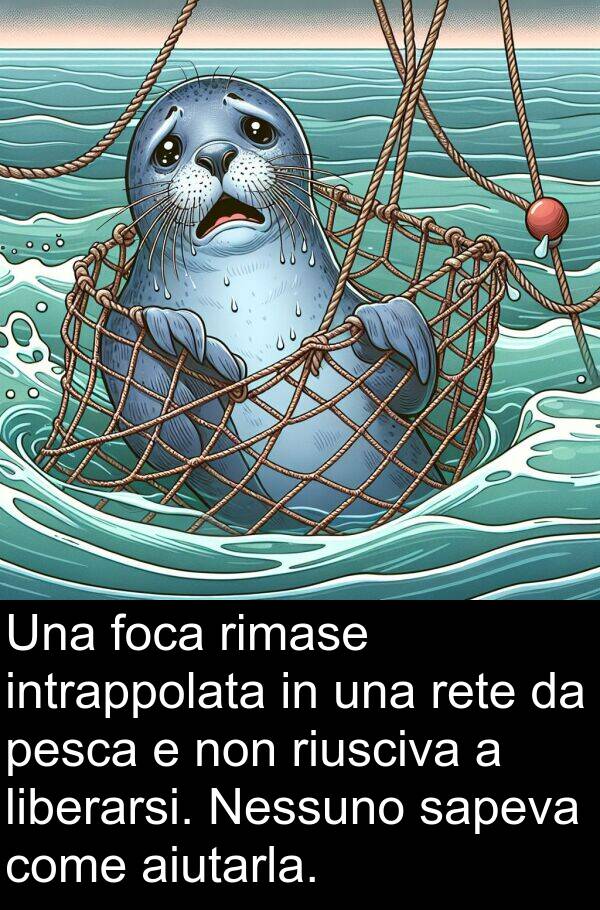 sapeva: Una foca rimase intrappolata in una rete da pesca e non riusciva a liberarsi. Nessuno sapeva come aiutarla.