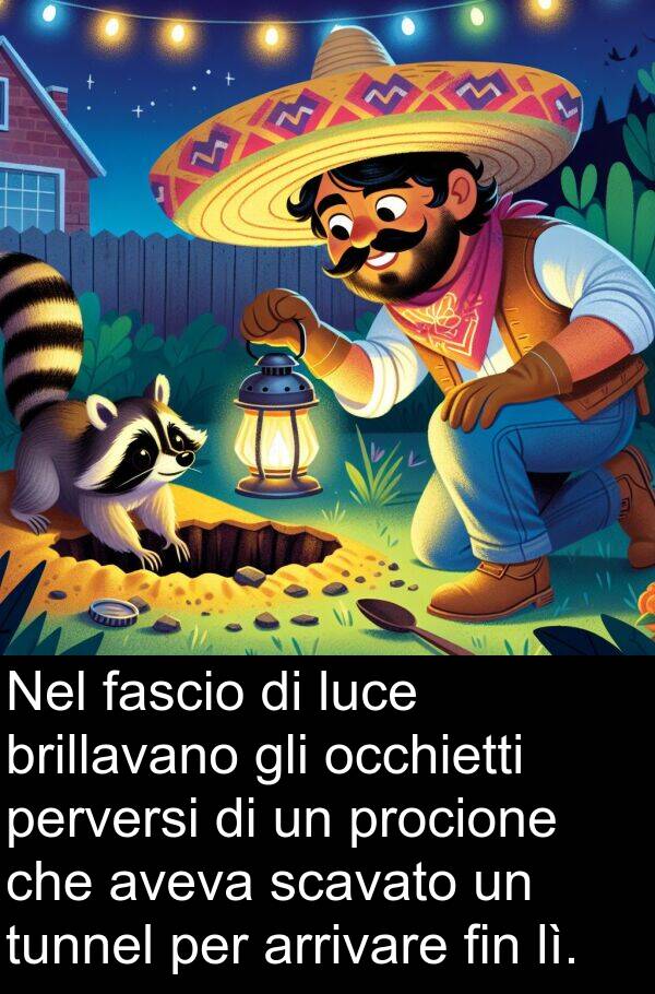 occhietti: Nel fascio di luce brillavano gli occhietti perversi di un procione che aveva scavato un tunnel per arrivare fin lì.