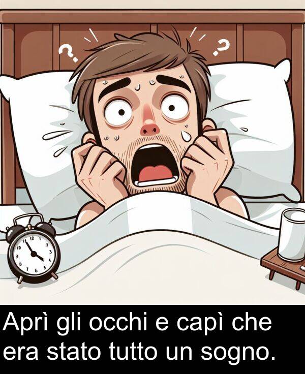 che: Aprì gli occhi e capì che era stato tutto un sogno.