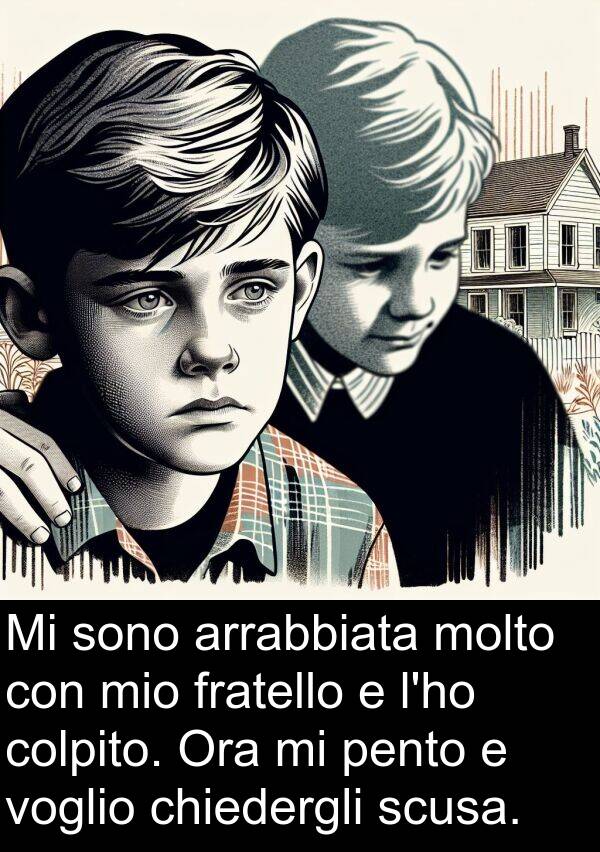 scusa: Mi sono arrabbiata molto con mio fratello e l'ho colpito. Ora mi pento e voglio chiedergli scusa.